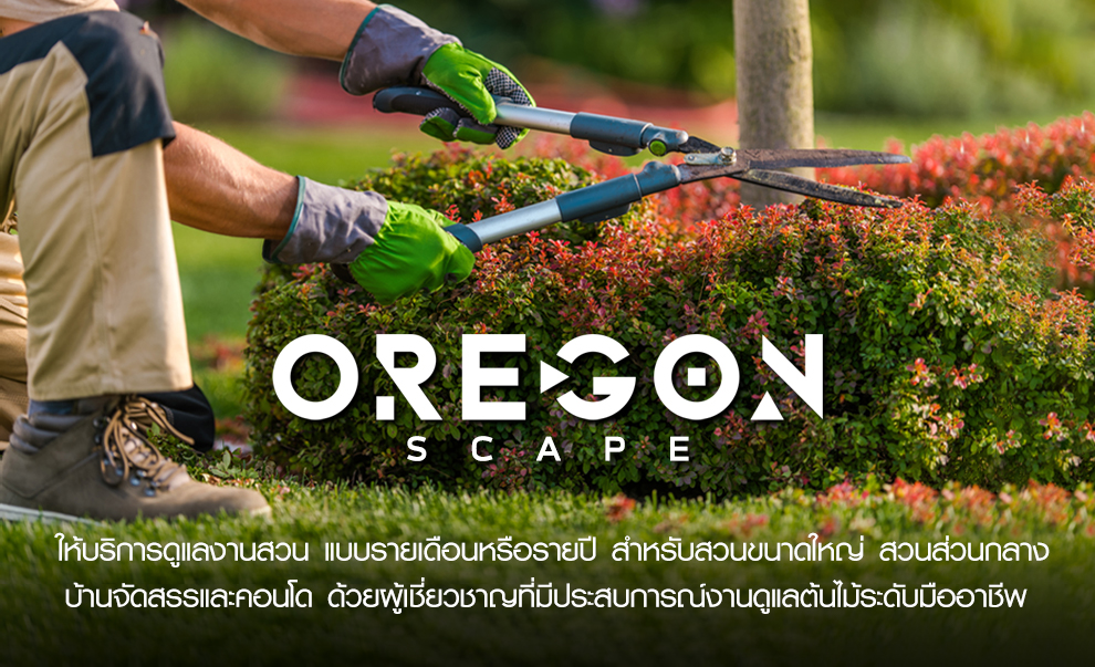 คลิกเพื่อดูรายละเอียดเพิ่มเติม