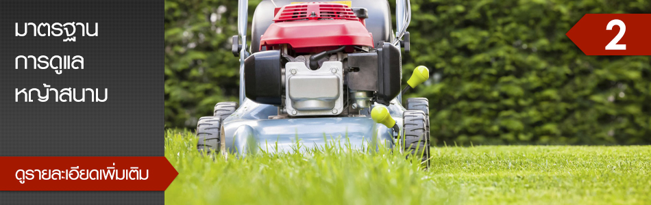 คลิกเพื่อดูรายละเอียดเพิ่มเติม