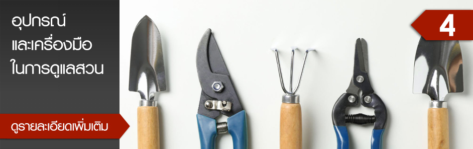 คลิกเพื่อดูรายละเอียดเพิ่มเติม