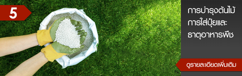 คลิกเพื่อดูรายละเอียดเพิ่มเติม